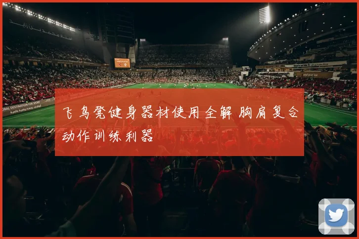 飞鸟凳健身器材使用全解 胸肩复合动作训练利器